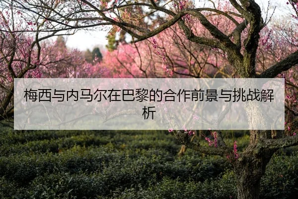 梅西与内马尔在巴黎的合作前景与挑战解析