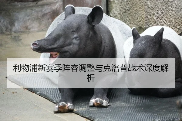利物浦新赛季阵容调整与克洛普战术深度解析